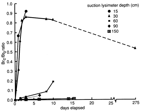 Concentration goes sharply up at 15 and 30 cm samplers within 1-2 days; deepest samples show no change; sample at 60 cm shows no movement until small jump at 7-10 days.