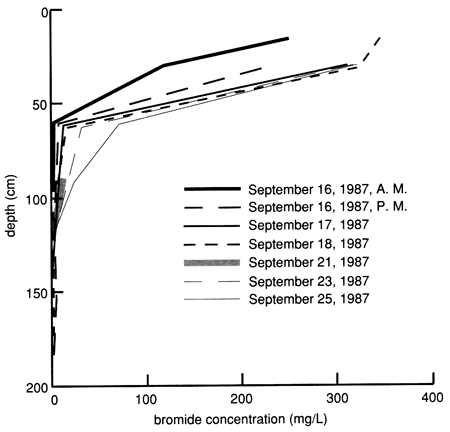 Concentration sharply decreases with depth wth very little immediate effect below 60 cm; over time (10 days) concentrations increase in lower zones.