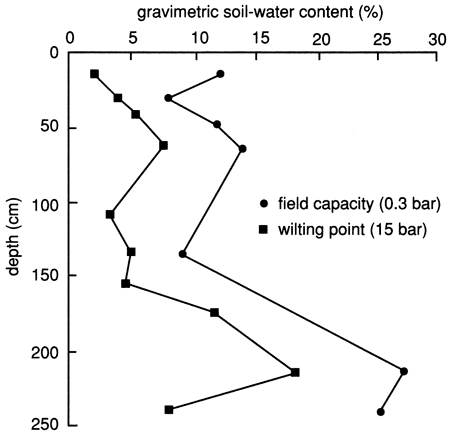 Wilting point rises from 3% at surface to 17% at about 230 ft; capacity rises from 10% to 27%.