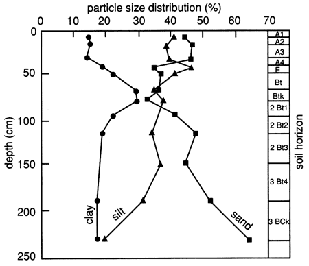 Sand mostly increases with depth; clay amount mostly consistent with spike at around 75 cm; silt drops slowly with depth.