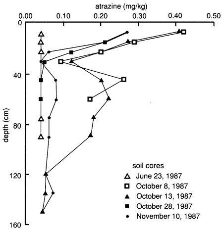 Atrazine concentration vs. depth; sampled  on 5 different days.