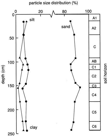 Sand at around 85% with depth with little change; clay and silt consistently around 5-10%.