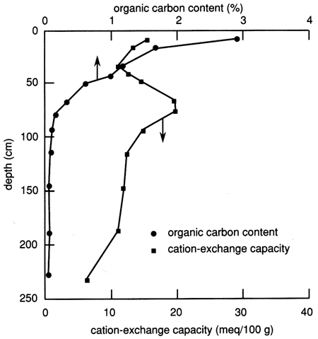 Carbon content 3% at top (10 cm?) but drops quickly to 1% at 50 cm and close to 0% at 75 cm; cation exchange around 8-15 (meq/100 g) at most depths.