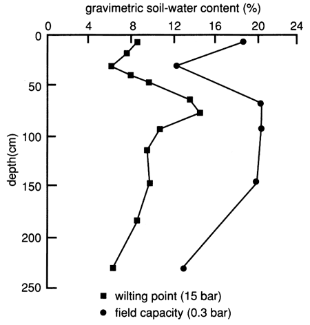 Wilting point around 8% at most depths, with spike to 14% around 75 cm; capacity between 12 and 19% at most depths.