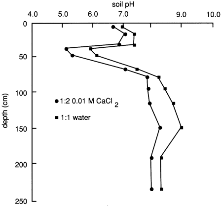 pH at 7 at surface, drops to 5 at 40-50 cm, rises to 8 at 75 cm, then stays somewhat steady.