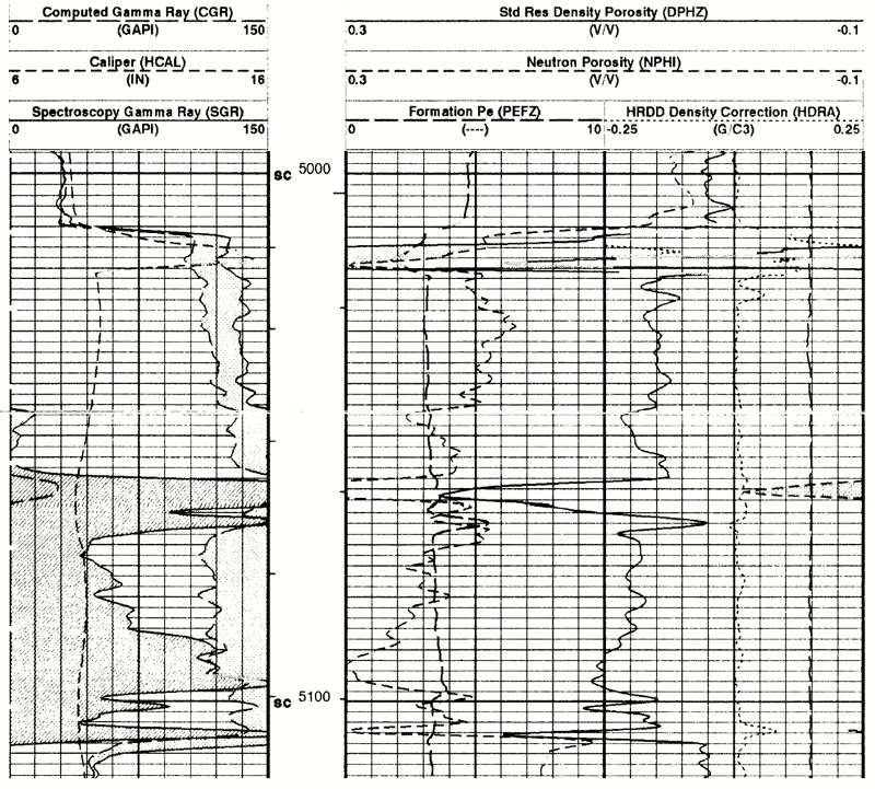 Both the SGR and CGR curves are shown for the gamma-ray log in Track 1.