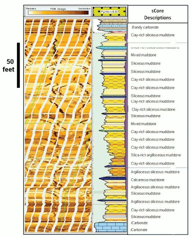 sCore facies log of a Barnett Shale section within a vertical hole.