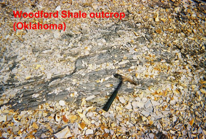 Color photo of an organic mudstone outcrop, the Woodford Shale in Oklahoma.