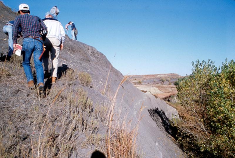 Color photo of Blue Hills Shale.