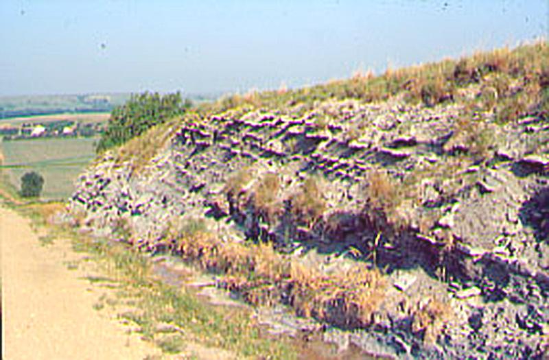 Color photo of Greenhorn Linestone outcrop.