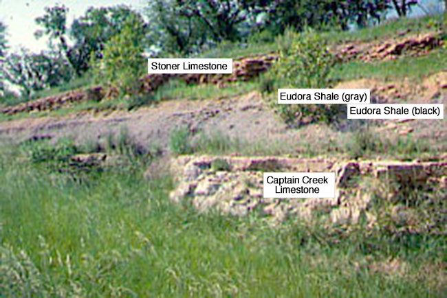 Color photo of an outcrop of the Stanton cyclothem.
