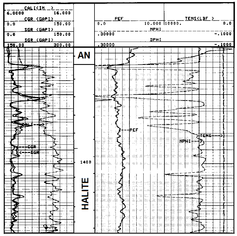 Log was recorded of part of the Nippewalla Group Blaine Formation evaporites in a well located in Hamilton County.