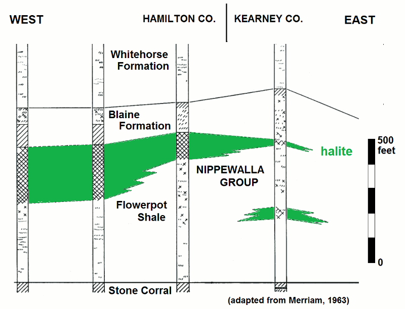 Cross section of Upper Permian Nippewalla Group in Hamilton and Kearny counties.