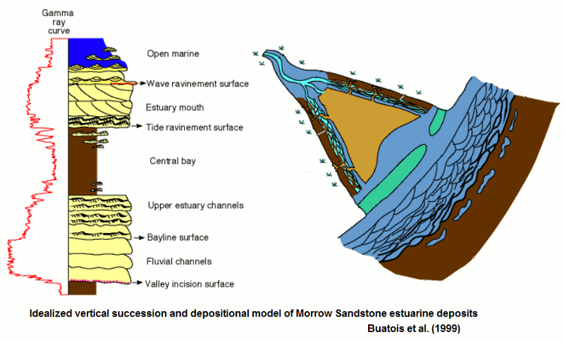 Depositional environments of the Lower Pennsylvanian Morrow Sandstone in southwest Kansas.