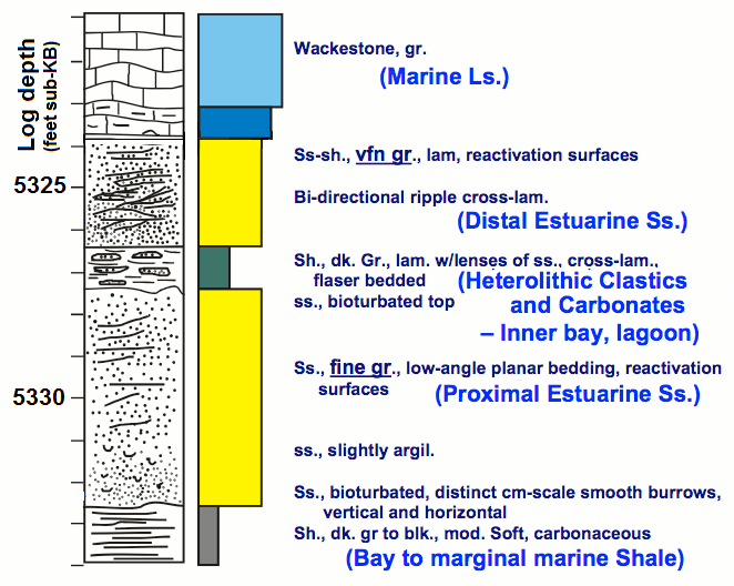Description and interpretation of Atokan estuarine section.