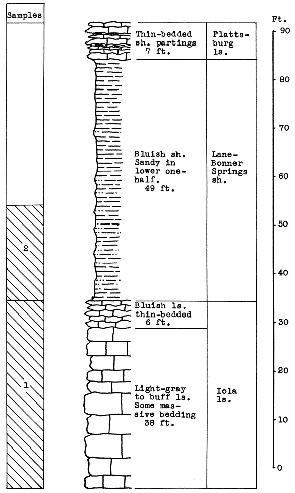 Stratigraphic section at quarry of the LeHigh Portland Cement Company, Iola.