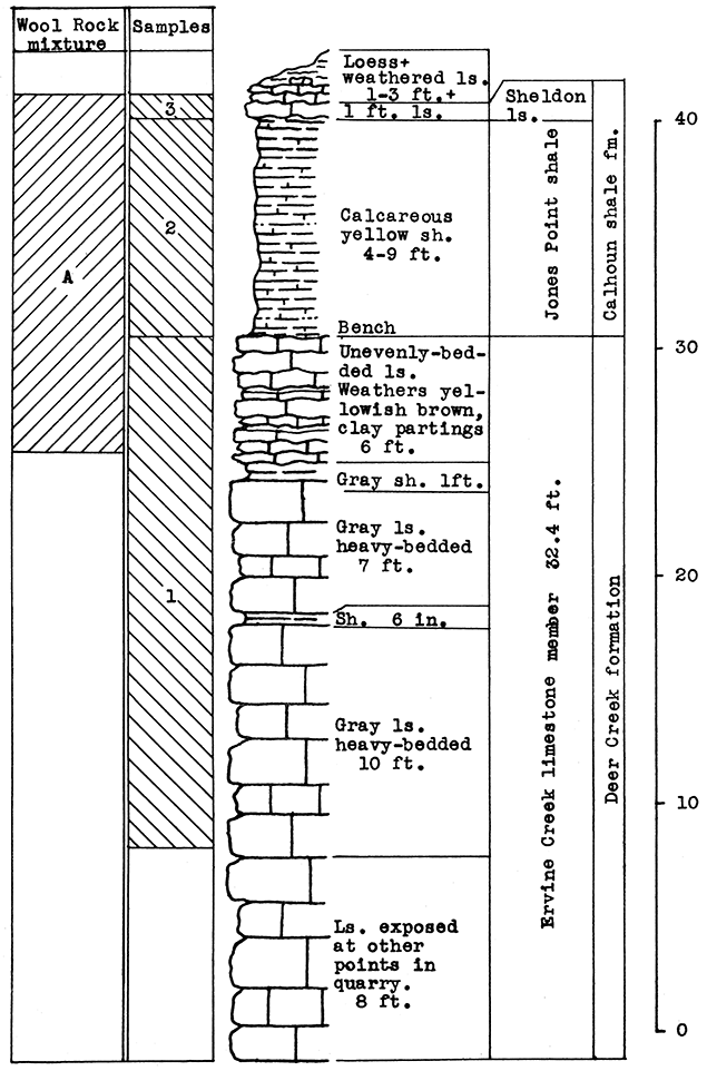 Stratigraphic section in northeast corner of the Solvay Process Company quarry, Moline.