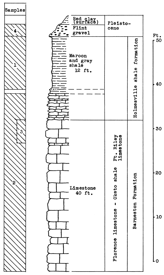 Stratigraphic section of Silverdale quarry and outcrops near the quarry in the Arkansas City area.