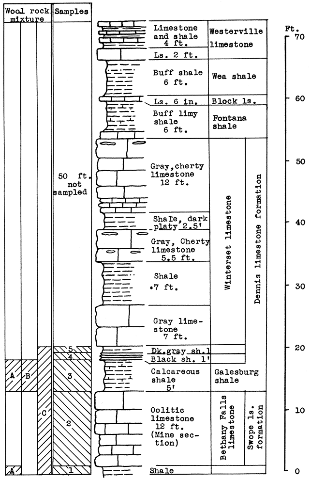Stratigraphic section of outcrop at the Morris limestone mine.