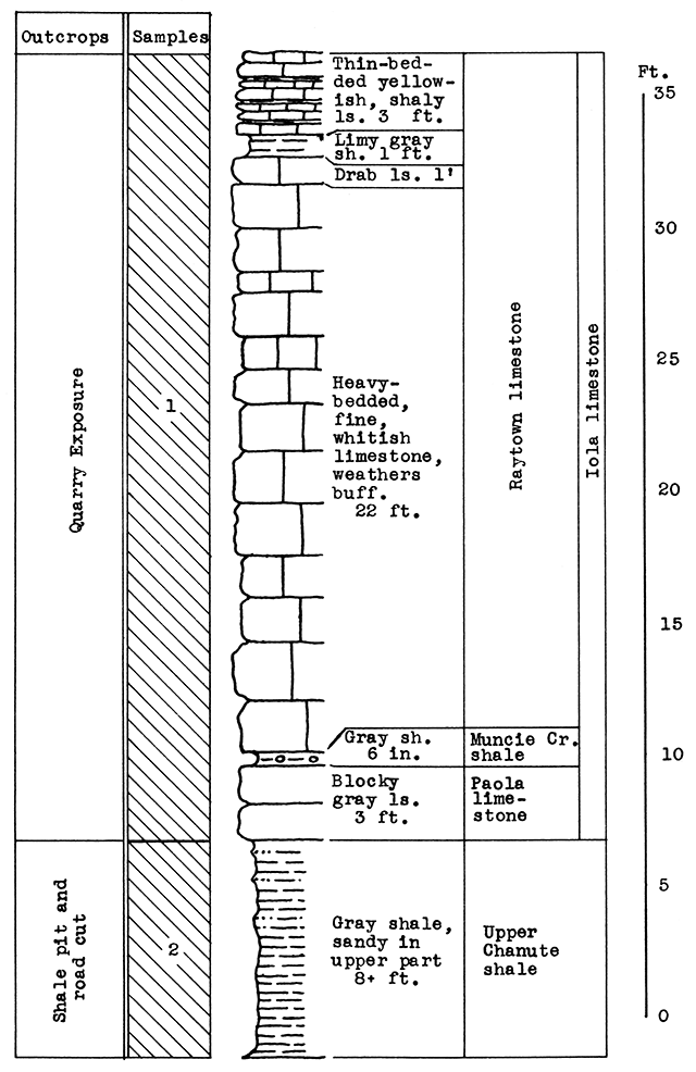 Stratigraphic section of quarry and shale pit of cement plant at Mildred.