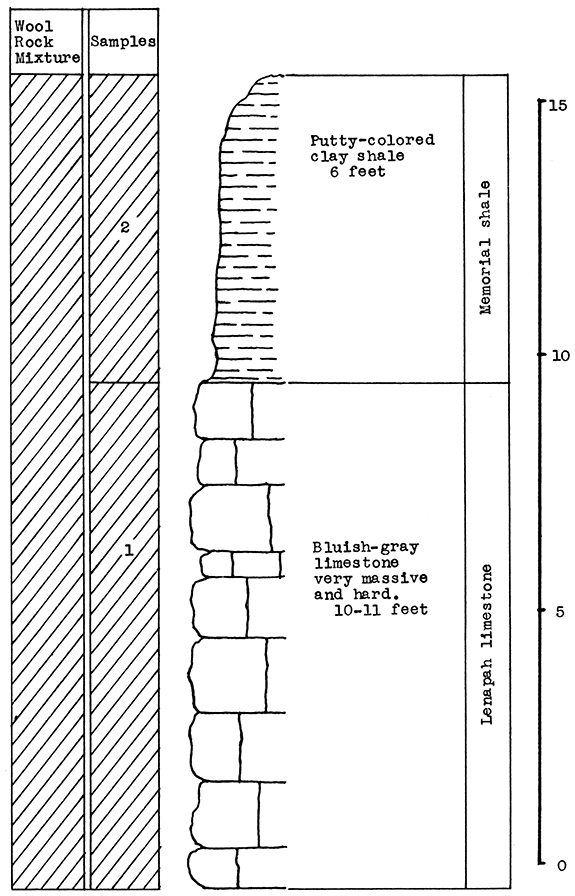 Stratigraphic section at quarry south of Parsons showing locations of samples.