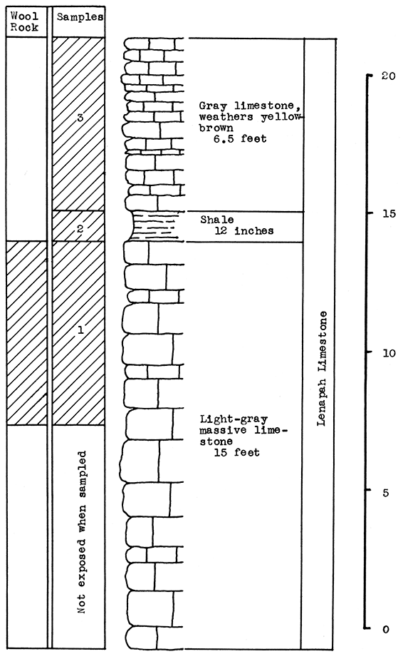 Stratigraphic section at Bells Spur.