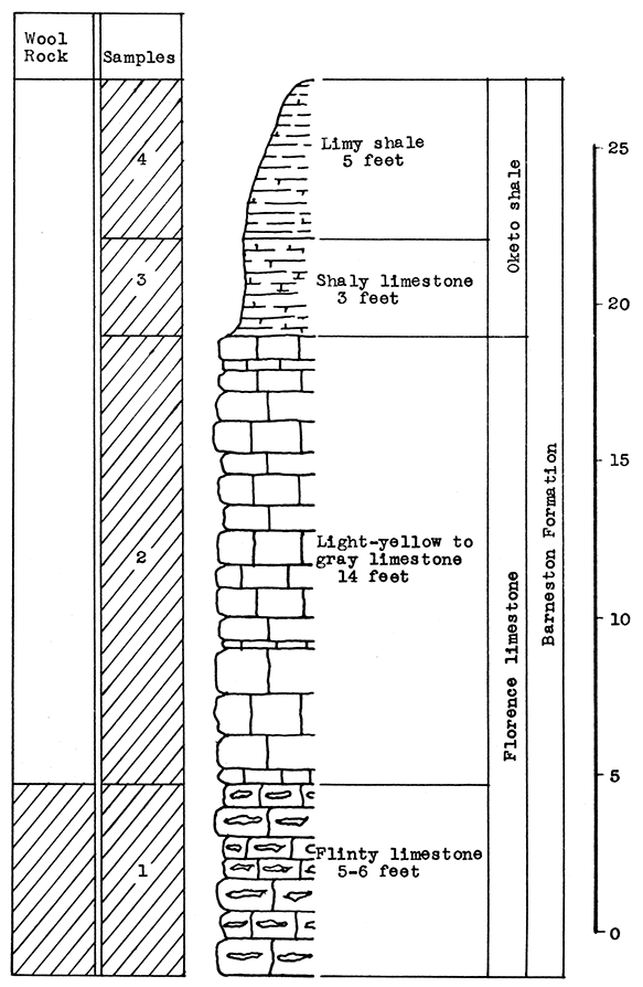 Stratigraphic section at the E. W. Young quarry south of Augusta.