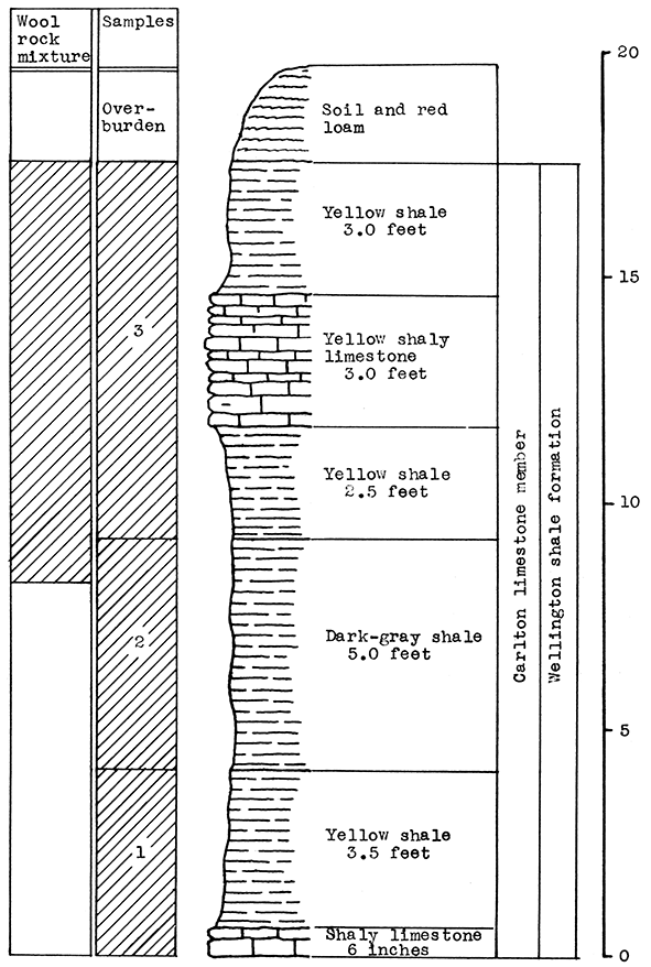 StratigraphiC section of outcrop east of Newton.