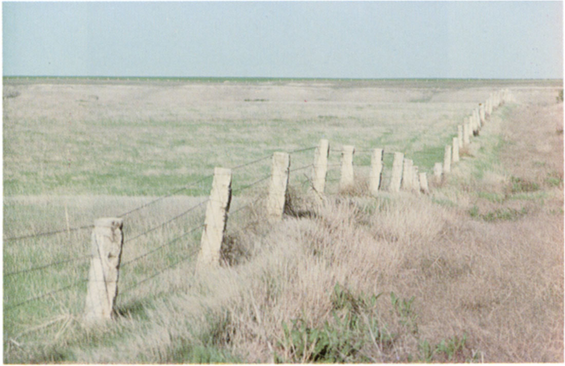 Color photo of typical limestone fenceposts made from the Fencepost Limestone.