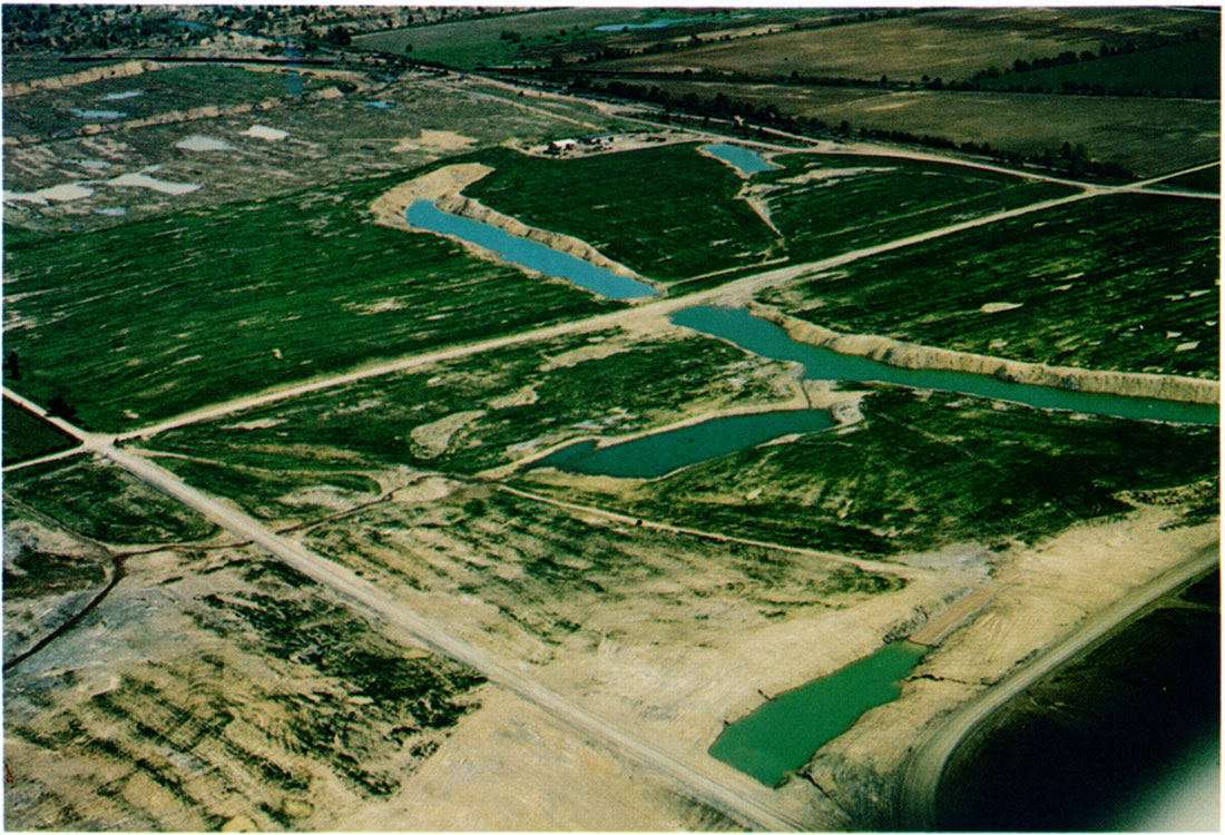 Aerial view of Field 4 showing the overall poor stand of wheat, and the southwest quarter of the field practically devoid of wheat.