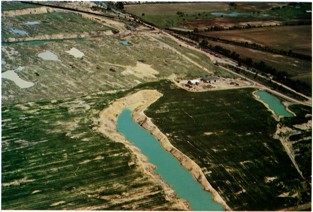Aerial view of Field 2 (lower right) showing a good stand of wheat with a few low spots devoid of wheat, May 1976.