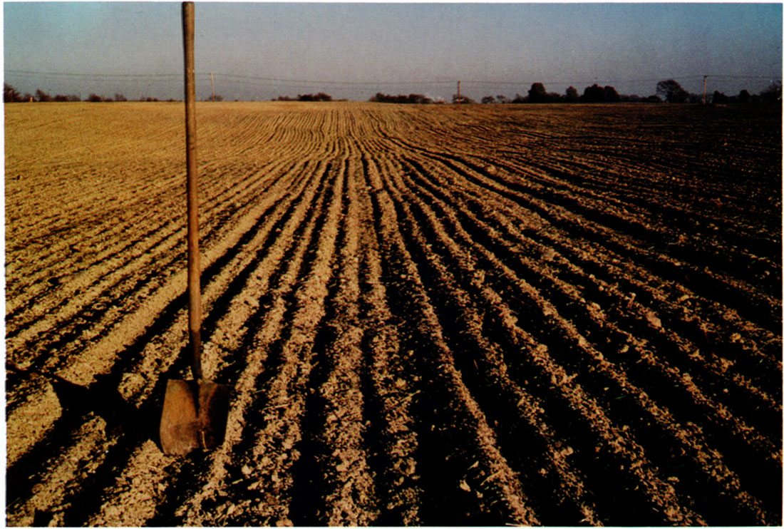 View of Field 3 showing surface appearance after seeding, November 1975.