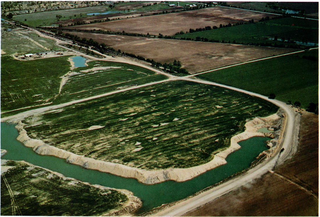 Aerial view of Field 3 showing a fair stand of wheat with a few low spots devoid of wheat, May 1976.