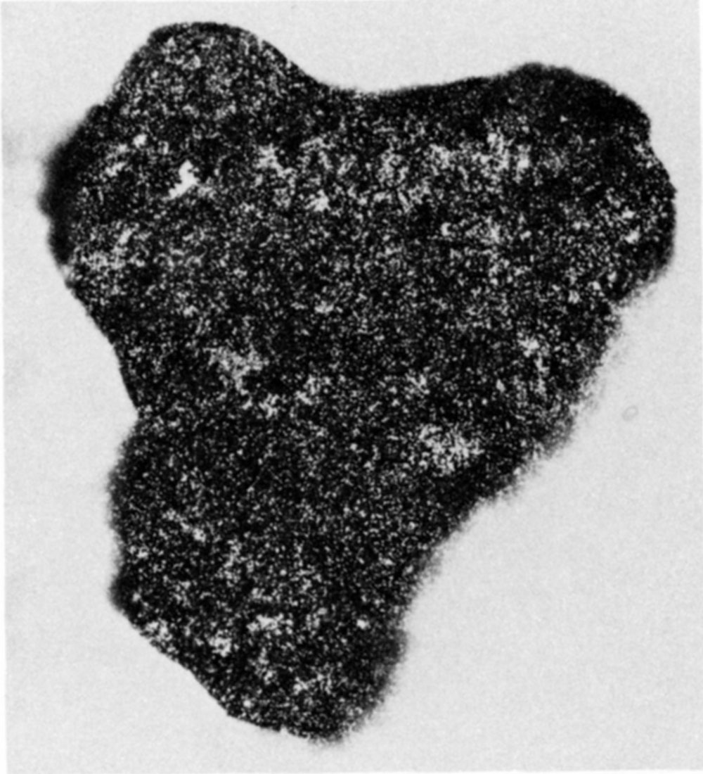 Radioluxograph of silicified Ogallala Formation (sample U-6, 123 ppm U3O8, exposure time 70 hours) shows the fairly even distribution of radioactive material throughout the sample.