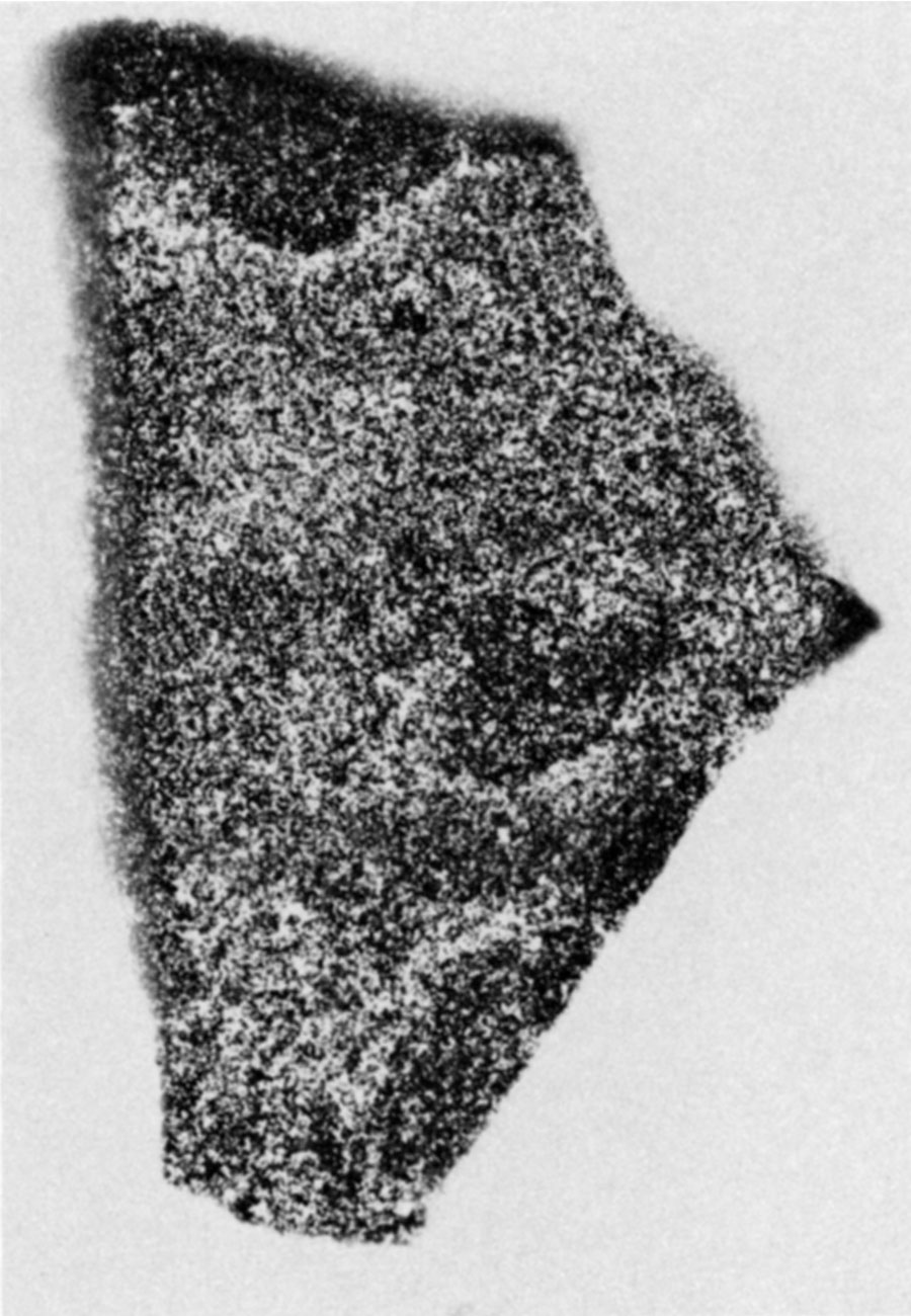 Radioluxograph of silicified Ogallala Formation (sample U-2, 62 ppm U3O8, exposure time 144 hours). Partially silicified and lesss radioactive clasts are easily identified.