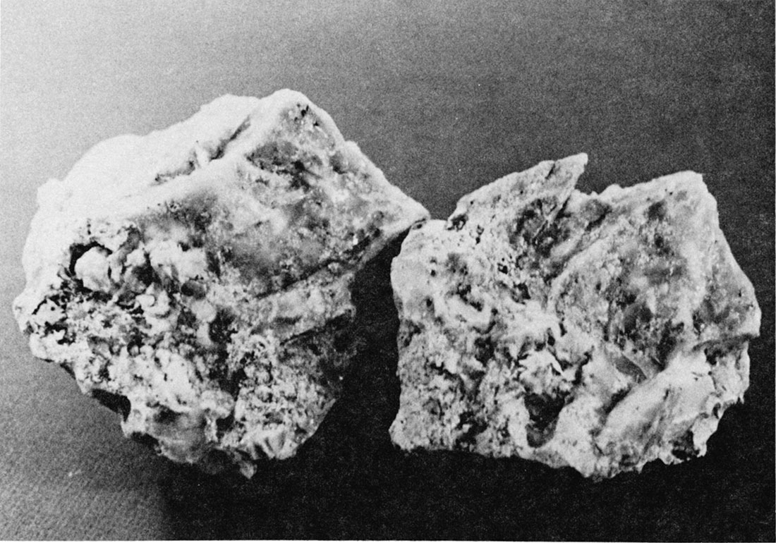 Black and white photo of silicified Ogallala Formation from Cheyenne County (Sec. 35, T. 4 S., R. 42 W.). 
