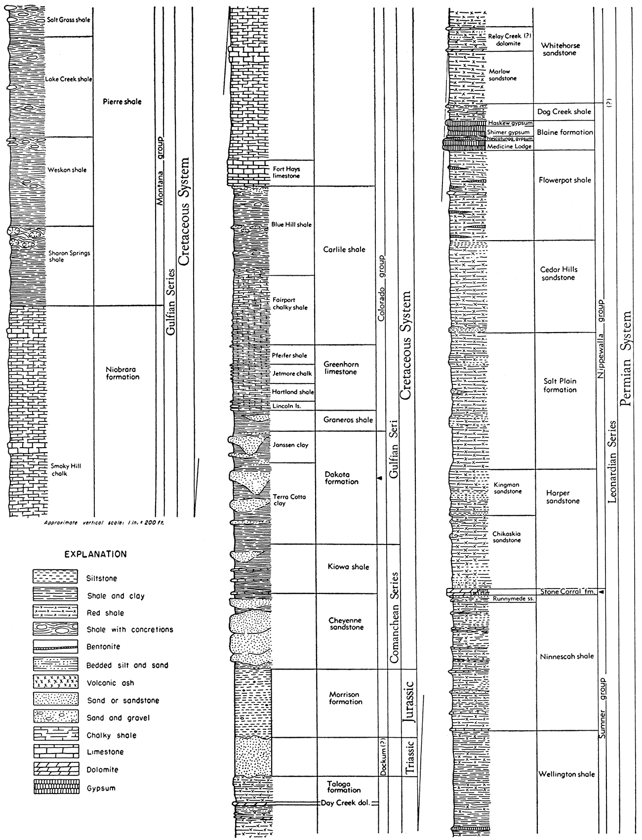 Graphic columnar section showing relative stratigraphic positions of the formations mentioned in this report.