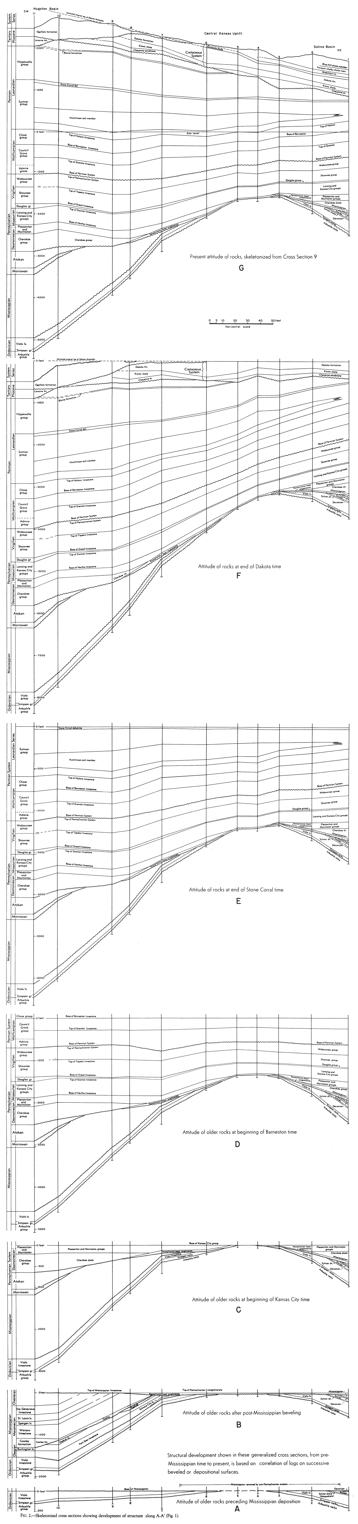 Skeletonized cross sections showing development of structure along A-A'.