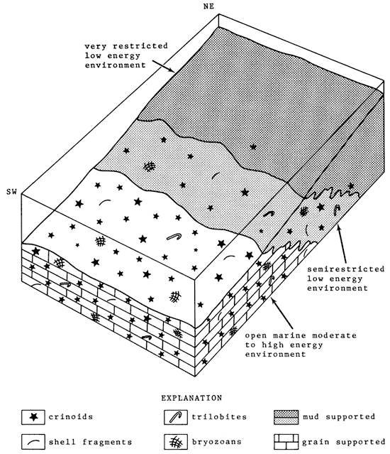 Block diagram showing rock types found and fossils expected in open-marine, semirestricted, and very restricted marine environments.