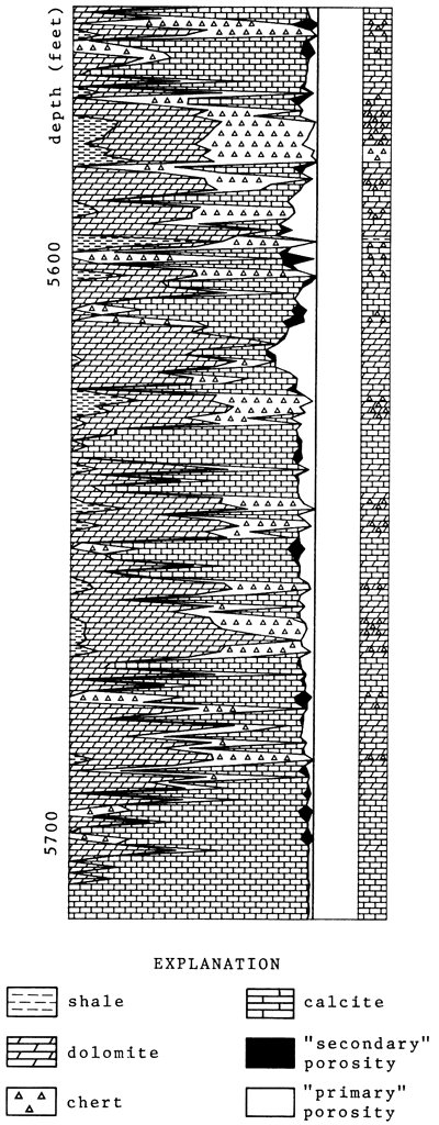 Values from logs are used to create a mineralongical profile showing percentages of shale, dolomite, chert and calcite, with indicators of primary and secondary porosity.