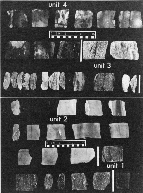 Black and white photos of core from Degeer 1 well.