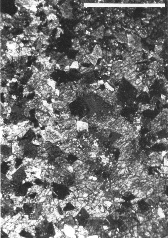 Black and white photomicrograph of dolomite from unit D.