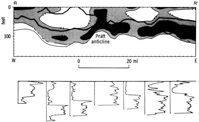 Cross section of shale ratio (fourth-order trend) plotted with gamma-ray logs.