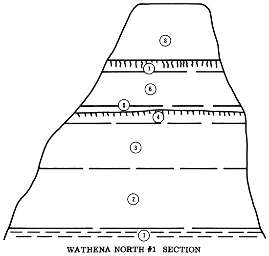 Wathena North #1 Section.