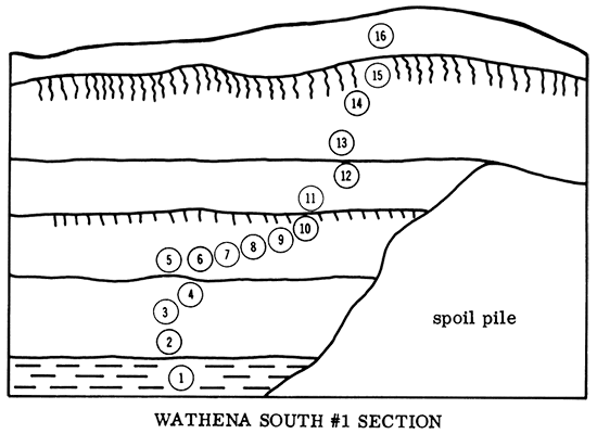 Wathena South #1 Section.