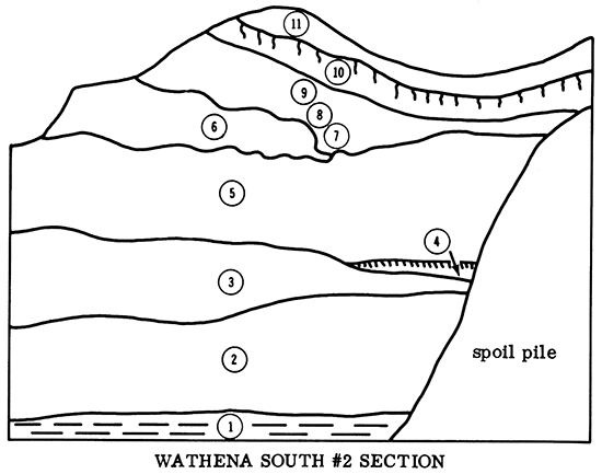 Wathena South #2 Section.