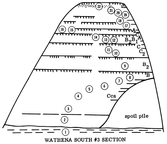 Wathena South #3 Section.