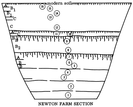 Newton Farm Section.