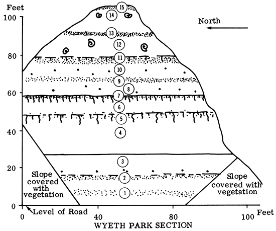 Wyeth Park Section.
