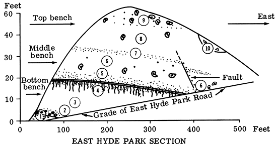 East Hyde Park Section.